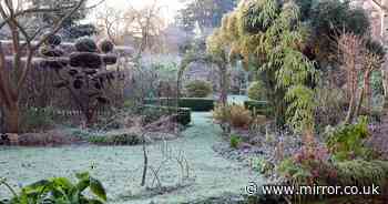 Monty Don urges all gardeners to get key item to protect plants all winter 