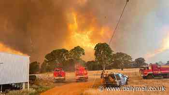 Thousands ordered to evacuate as 'uncontrollable' bushfire bears down on three towns in the Grampians amid 100km/h gusts and temperatures soaring past 40C