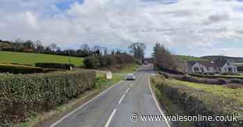 Two men die in separate Christmas horror road crashes - including elderly man