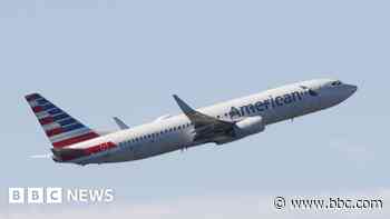 American Airlines resumes flights after technical issue