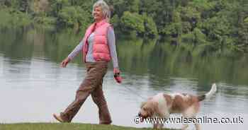 Exact amount of walking needed each day to help prevent dementia, expert claims