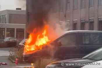 Bestelwagen brandt uit op kerstdag in Bree