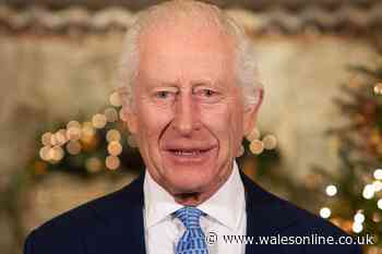 King Charles thanks 'selfless' doctors in Christmas speech amidst personal cancer battle