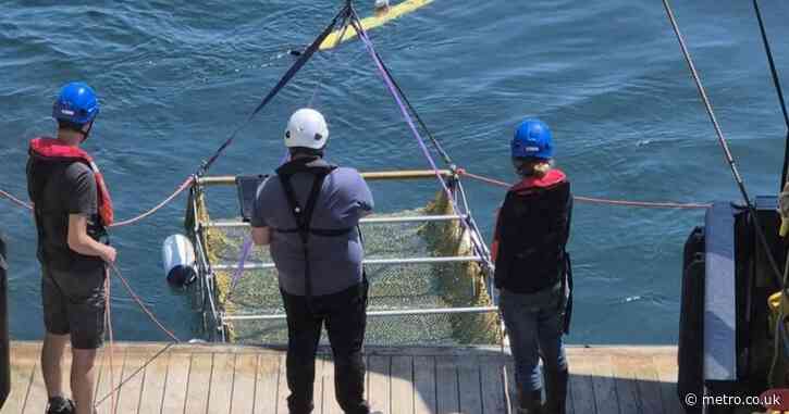 Remains of Britain’s ‘Atlantis’ found by archaeologists in the North Sea