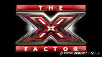 X Factor reject becomes multi-millionaire thanks to new AI business venture