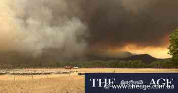 ‘Too late to leave’: Firefighters prepare for devastating conditions as out-of-control bushfire spreads