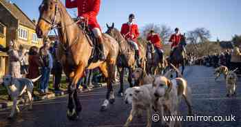 Campaigners urge government to deliver on promise to ban trail hunting