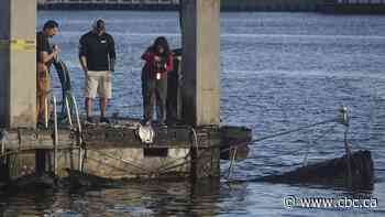 Quebec man dead after boat explodes in Florida marina, also injuring 6