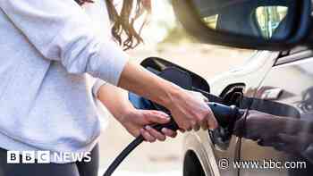 Car industry consulted over 2030 petrol and diesel ban