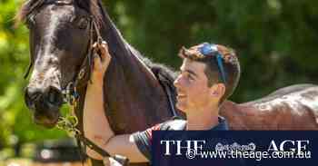 Rookie Bathurst trainer Angus Stewart ready to debut on the main stage