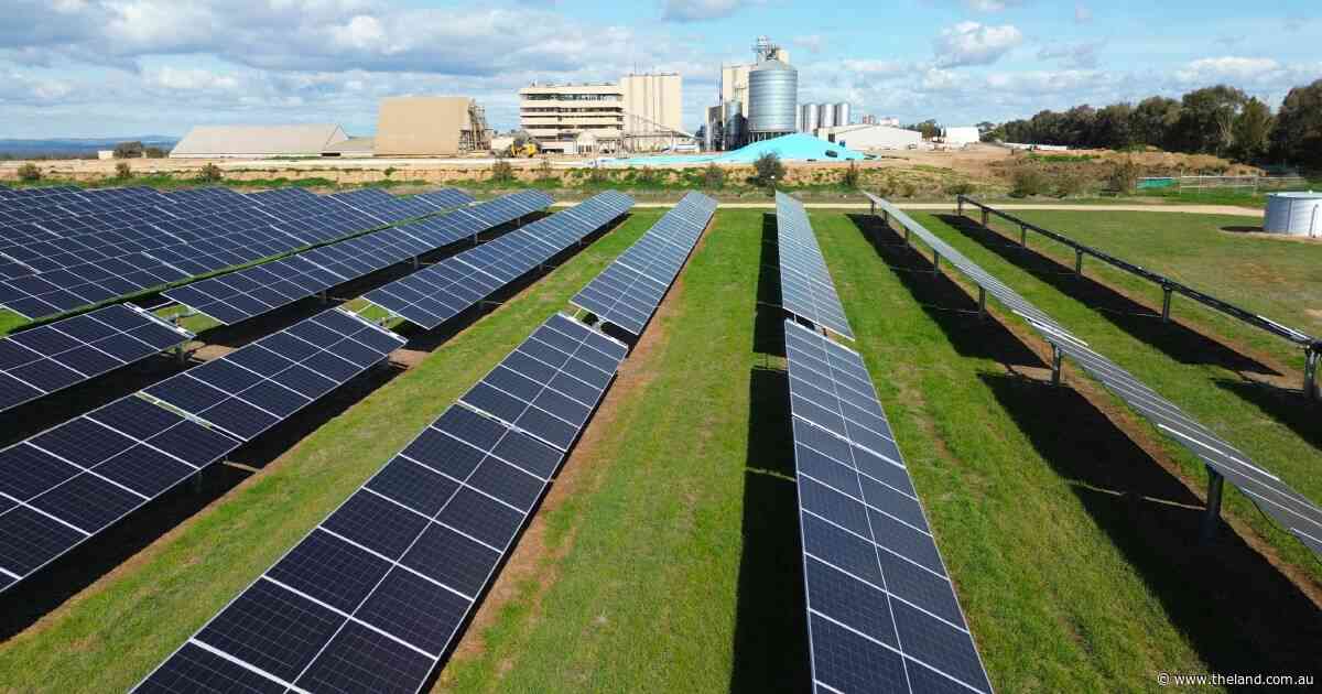 Solar partnership reduces costs while adding value to canola