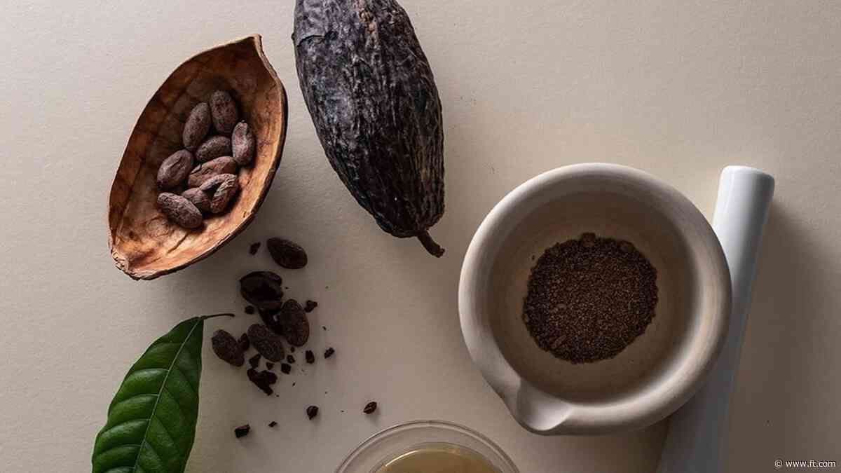 Food groups develop a taste for cocoa alternatives