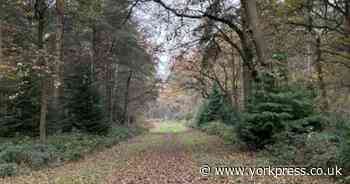 5 scenic circular Boxing Day walks in and around North Yorkshire to explore