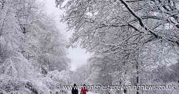 The forest walk near Greater Manchester perfect for Boxing Day