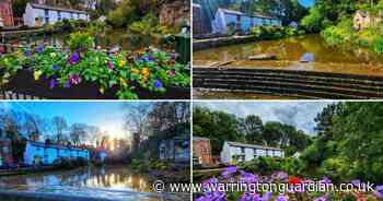 See how Lymm Dam changed through the seasons in 2024