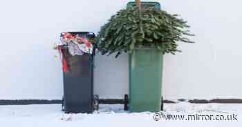 Every Christmas item you can and can't recycle - or face hefty fines