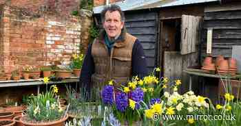 Monty Don's Boxing Day ritual all gardeners need to follow - or regret it