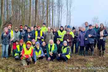 Vrijwilligers en cursisten Natuurgids helpen natuurpunt bij beheerswerken: “Jonge boompjes dreigden overgroeid te worden en te verdwijnen”