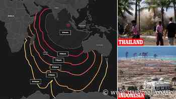 The worst tsunami in history, hour by hour: How 230,000 people were wiped out in a matter of hours. DEEP DIVE reveals how monster 50m waves obliterated everything in their path