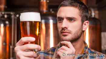 The soul of Madrid... from a rain-soaked factory in Tadcaster: How Britain's best loved 'foreign' beers are made nowhere near the continent