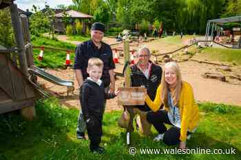 AD FEATURE: Community apple tree giveaway in Wales from Thatchers Cider 