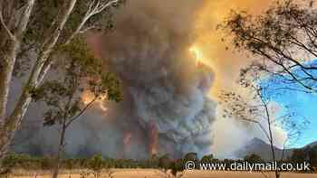 Thousands told to evacuate now as bushfires sweep through Victoria - with residents in some towns told it's too late to leave and to 'act now to survive'