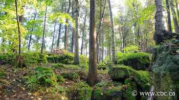 Doctors in this Ontario region can now prescribe nature 'to help people have a better quality of life'