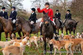 Pressure mounts over Boxing Day hunts as ministers accused of ‘unjustified’ law change