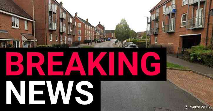 Two women found stabbed to death in house on Christmas Day with man arrested