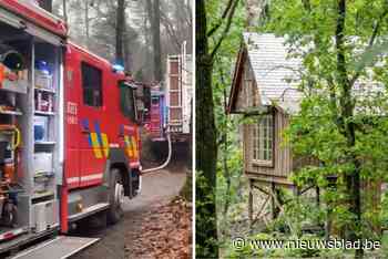 Brand vernielt huisje in boomhuttendorp Treelodge in Retie, geen gewonden