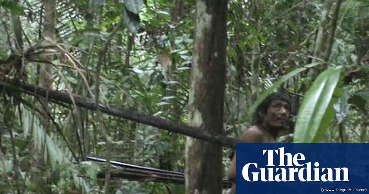 ‘They knew that we were here’: following in the footsteps of the uncontacted Pardo River Kawahiva people