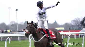 Constitution Hill has rivals in awe after Nicky Henderson-trained superstar wins the Christmas Hurdle for the THIRD year in a row