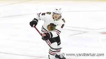 Blackhawks’ Mikheyev Showing He Is More Than Just a 'Utility Guy'