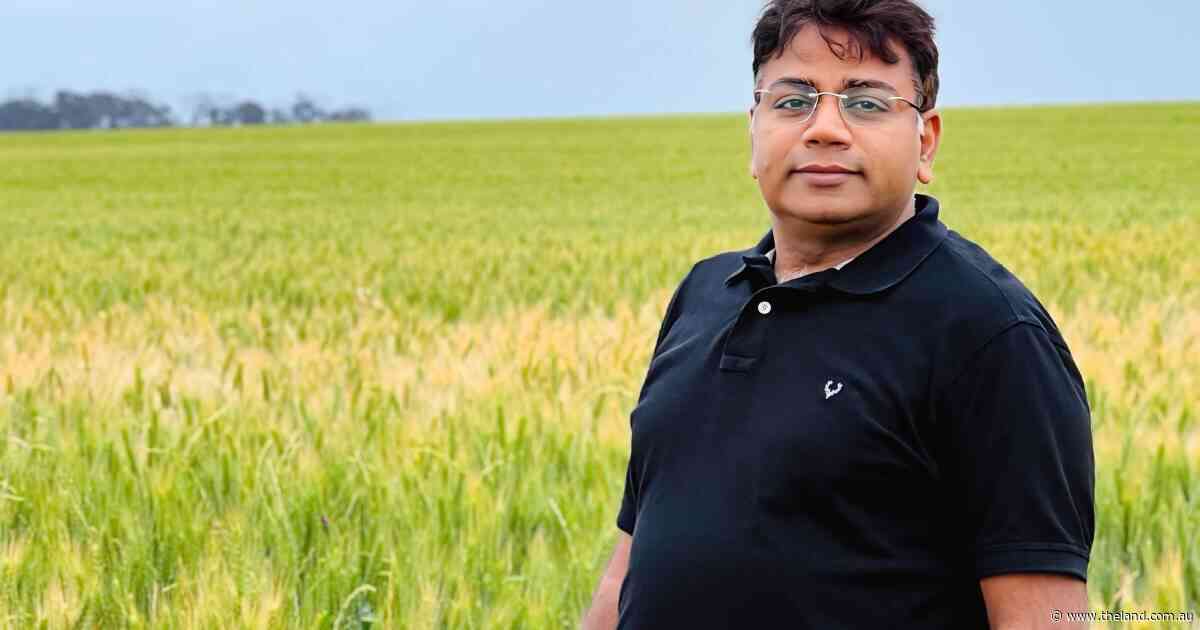 Wheat genomic study could boost drought, heat tolerance in new varieties