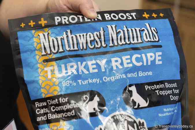 American pet food infected with bird flu recalled after house cat died sold in B.C.