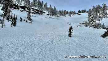 Miraculous rescue of Utah man trapped in avalanche after his brother spotted his fingers poking out of snow