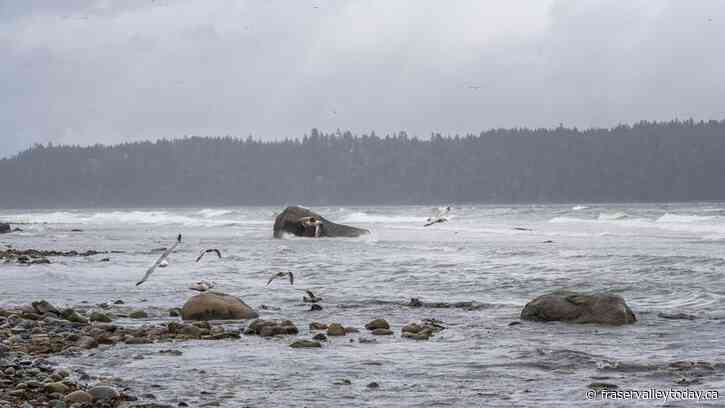 Warnings lifted for B.C. coast while Coquihalla warning remains