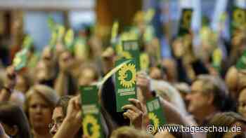 Neue Parteimitglieder: "Wahlkampfzeiten sind Mobilisierungszeiten"