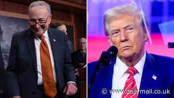 Inside Chuck Schumer's stealth operation to block Trump's MAGA revolution