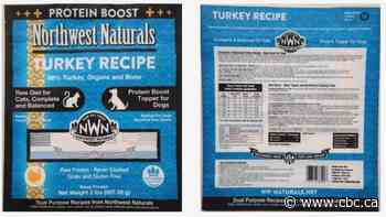 American pet food sold in B.C. recalled after a cat died of bird flu