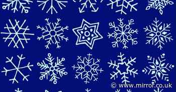 Only people with crystal clear vision can spot matching snowflakes in just 30 seconds