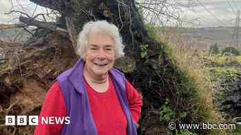 Tornado 'blew over my 60ft tree like a matchstick'