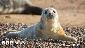 National Trust warns UK's most precious heritage at risk from extreme weather