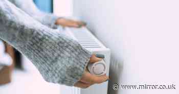 Easy way to make your radiators heat up faster as UK snowstorm forecast