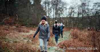 Favourite ways to beat January blues revealed - from cooking a roast to fresh air