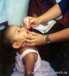 There Is No Gold-Standard Polio Vaccine