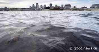 Refloating effort planned for ship carrying corn still stuck in St. Lawrence River