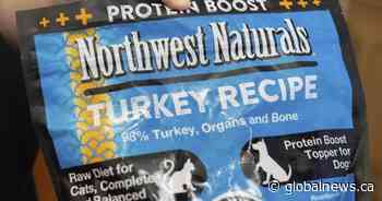 U.S. pet food sold in B.C. recalled over bird flu infection