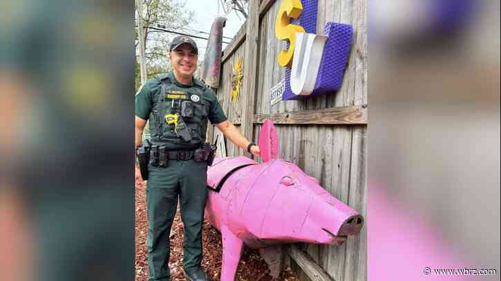 Hammond restaurant's pig mascot returned safely after Christmas caper