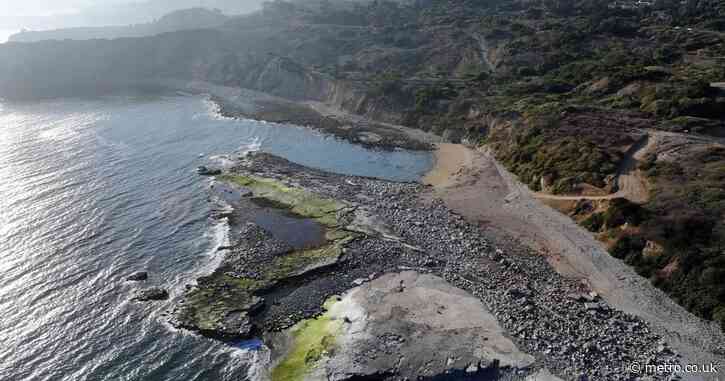 Human legs wash up along upscale shoreline